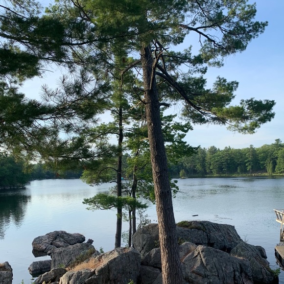 Meet your Posher, Koriena - Picture 1 of 1